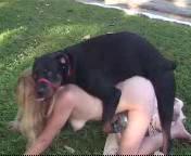 Dog Fuck Desi Girl.3gp